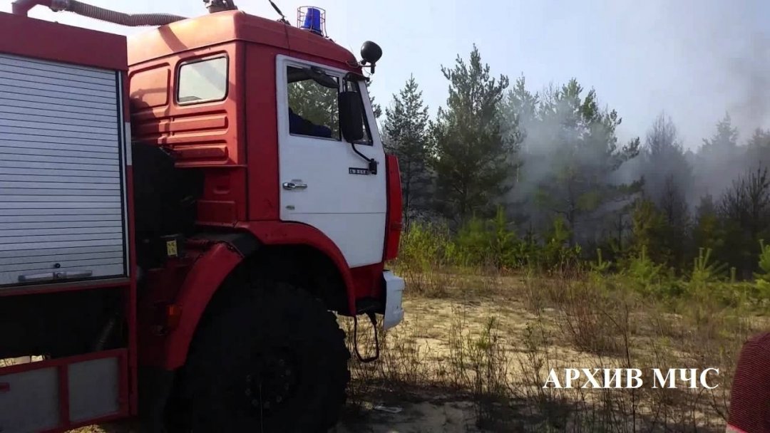 Лесной пожар в Буйском муниципальном районе